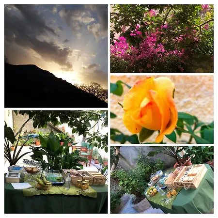 La Collina Dei Ciliegi *