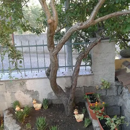 Bed & Breakfast La Collina Dei Ciliegi *