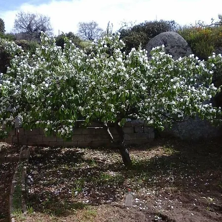 Frühstückspension La Collina Dei Ciliegi Sarule