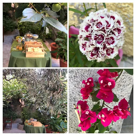 住宿加早餐酒店 La Collina Dei Ciliegi *