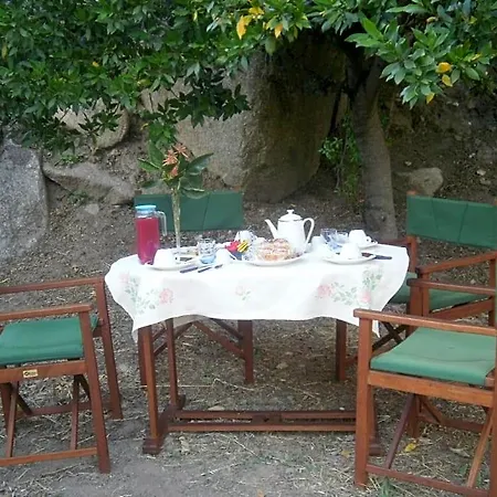 La Collina Dei Ciliegi Panzió