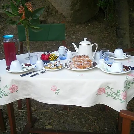 La Collina Dei Ciliegi Panzió *