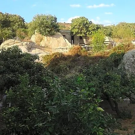 Panzió La Collina Dei Ciliegi Sarule