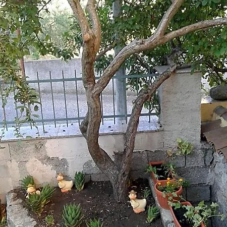 La Collina Dei Ciliegi Sarule