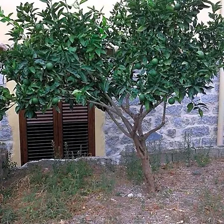 La Collina Dei Ciliegi