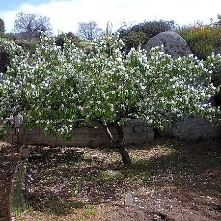 Panzió La Collina Dei Ciliegi *