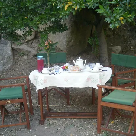 La Collina Dei Ciliegi