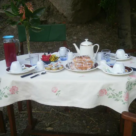 Frühstückspension La Collina Dei Ciliegi Sarule