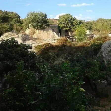 La Collina Dei Ciliegi ベッド・アンド・ブレックファスト *