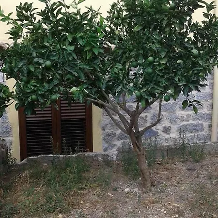 La Collina Dei Ciliegi Frühstückspension Sarule